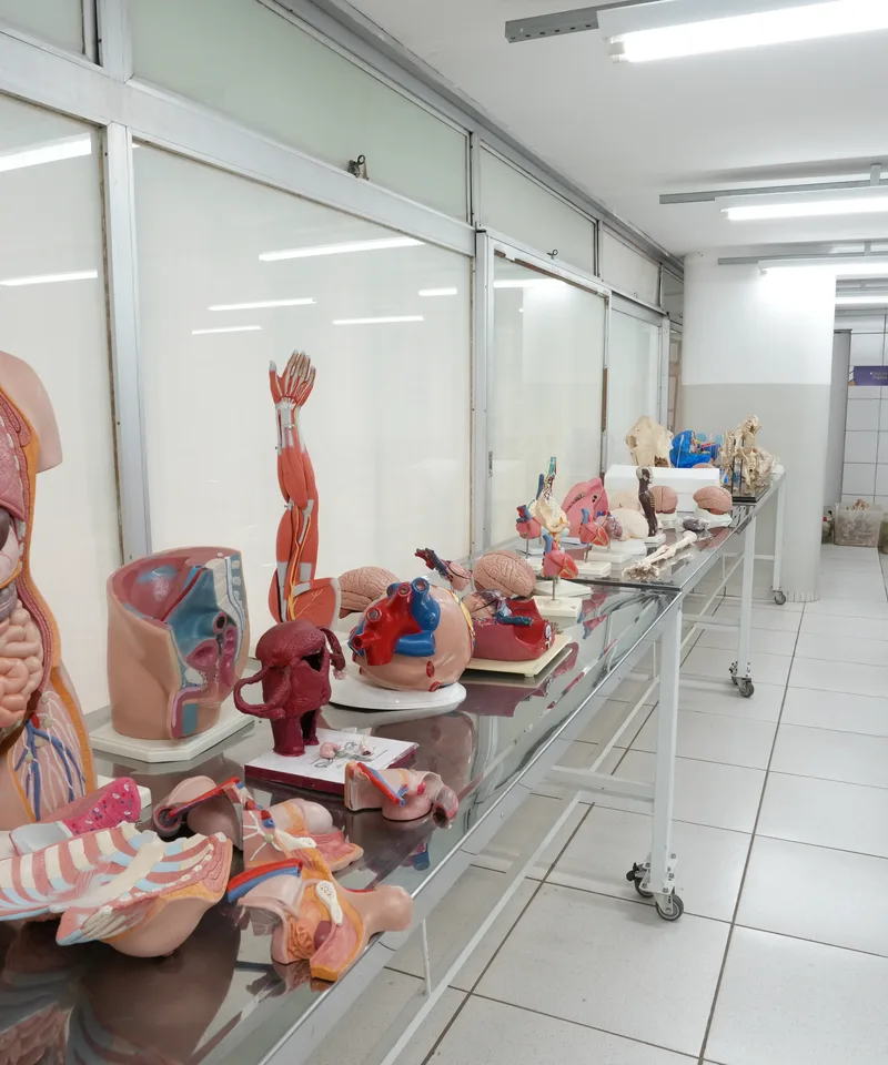 Laboratório de anatomia UNITERP Técnico